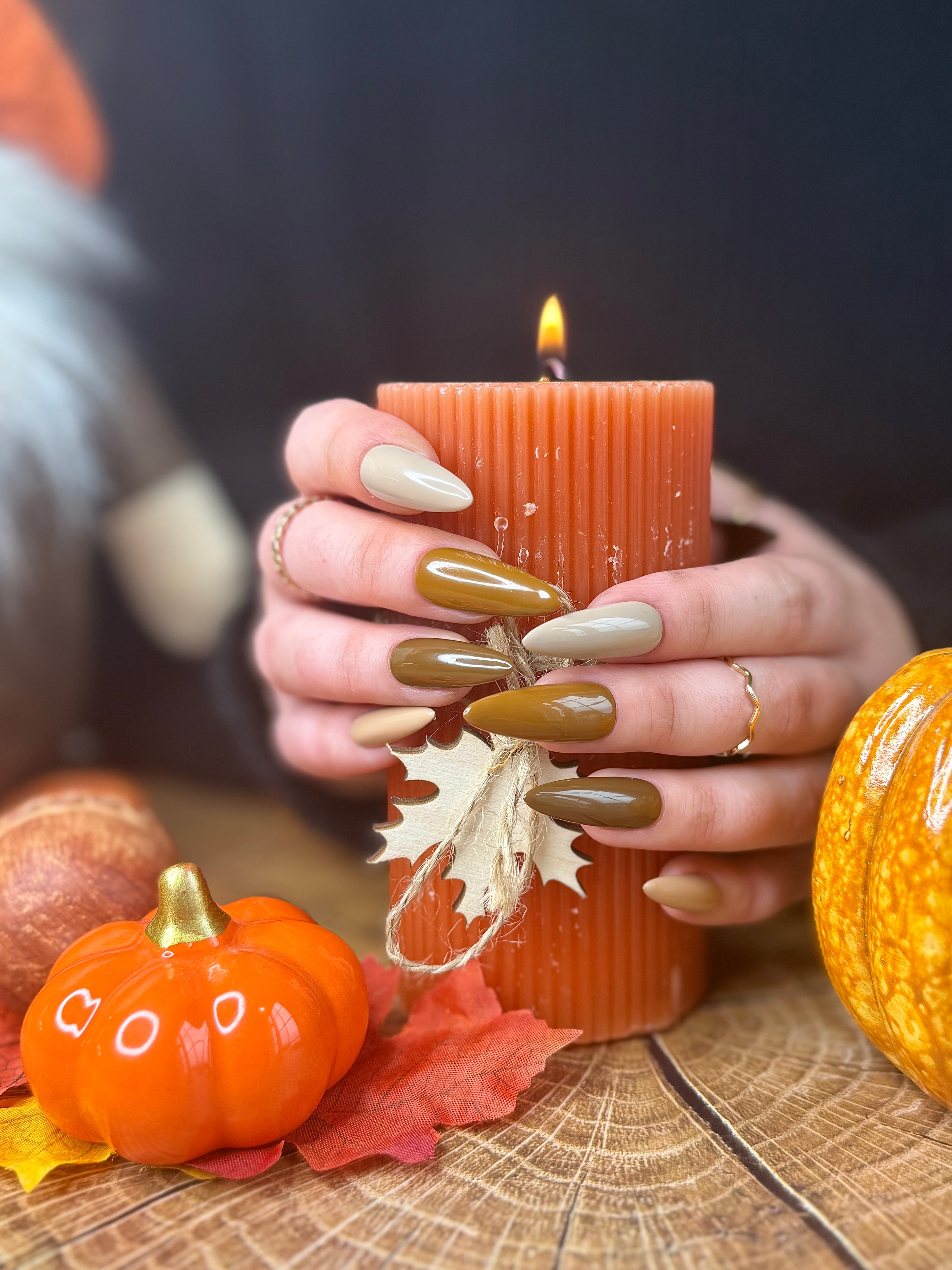 Camallieu maronné 🍂